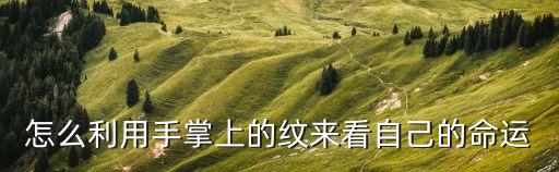 手掌紋怎么看，手掌線是從字怎么理解