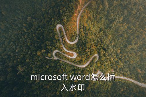 microsoft word怎么插入水印