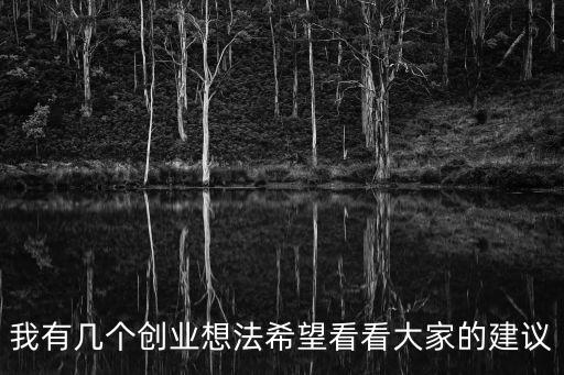 我有幾個創業想法希望看看大家的建議