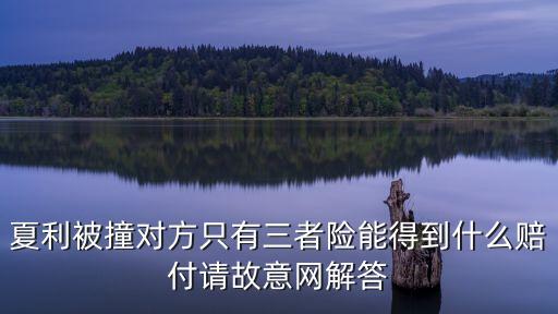 天津市夏利車禍，夏利被撞對方只有三者險能得到什么賠付請故意網解答