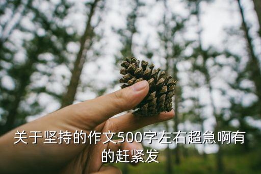 關于堅持的作文，關于堅持的作文500字左右超急啊有的趕緊發
