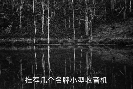 小收音機，推薦幾個名牌小型收音機