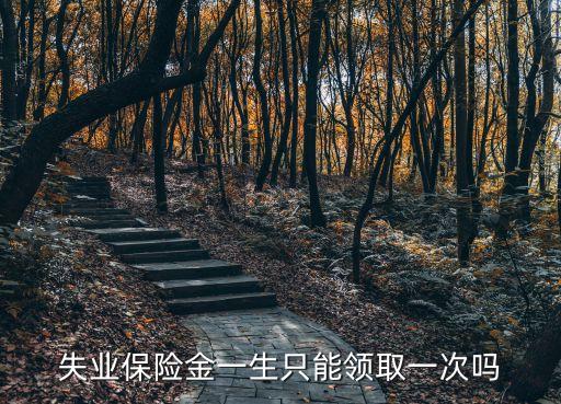 天津市失業(yè)保險(xiǎn)可以一次性領(lǐng)取嗎，天津失業(yè)保險(xiǎn)可以一次性領(lǐng)出嗎