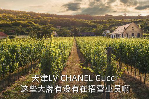 天津LV CHANEL Gucci 這些大牌有沒有在招營業(yè)員啊