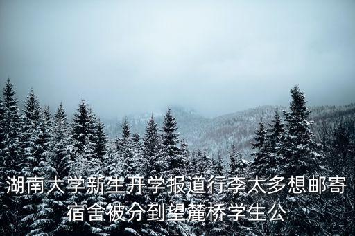 湖南大學新生開學報道行李太多想郵寄宿舍被分到望麓橋學生公