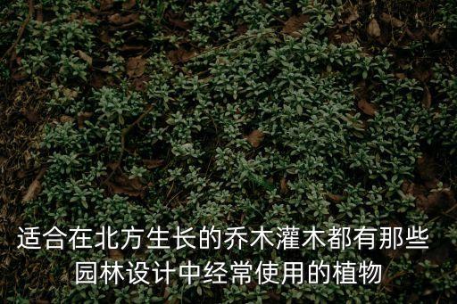 適合在北方生長的喬木灌木都有那些 園林設計中經常使用的植物