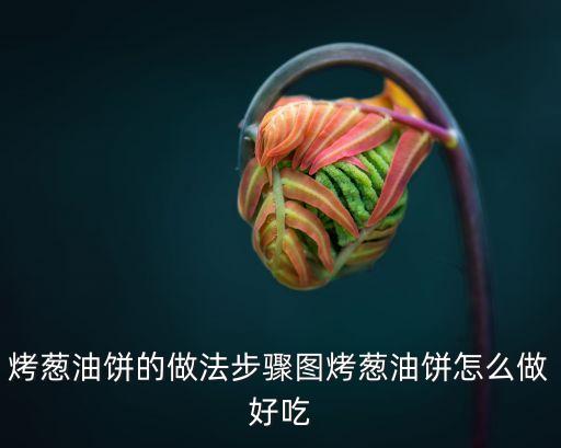 烤蔥油餅的做法步驟圖烤蔥油餅怎么做好吃