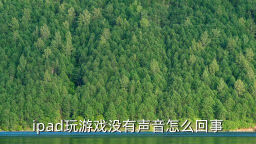 ipad玩游戲沒有聲音怎么回事