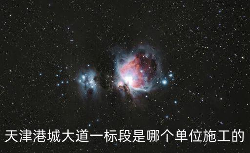 天津港城大道一標段是哪個單位施工的