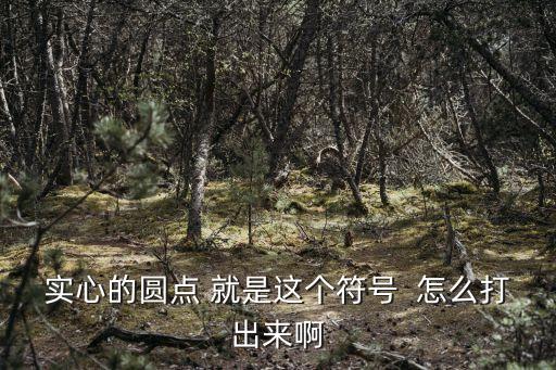 實心的圓點 就是這個符號  怎么打出來啊