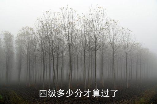 四級多少分才算過了