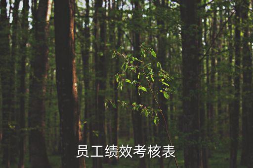 員工績(jī)效考核表