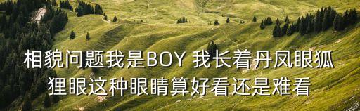 相貌問題我是BOY 我長著丹鳳眼狐貍眼這種眼睛算好看還是難看