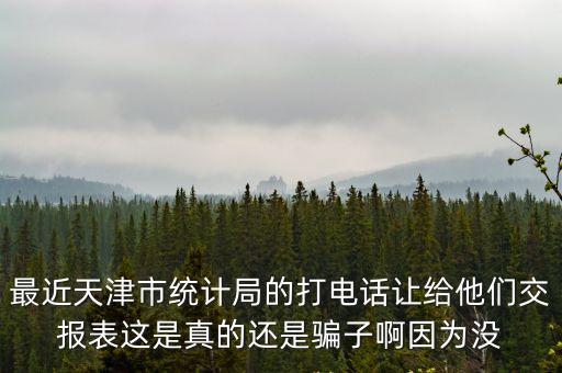 最近天津市統計局的打電話讓給他們交報表這是真的還是騙子啊因為沒
