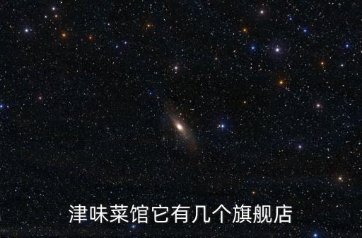 津味菜館它有幾個旗艦店