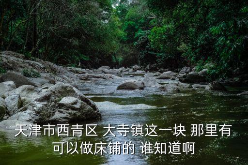 天津市西青區(qū) 大寺鎮(zhèn)這一塊 那里有可以做床鋪的 誰知道啊