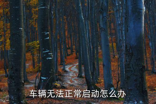車輛無法正常啟動怎么辦