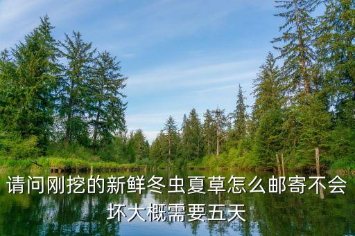 冬蟲夏草怎么保存，怎樣保管冬蟲草