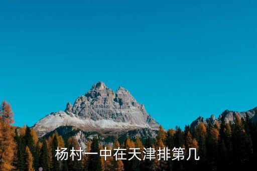 楊村一中在天津排第幾