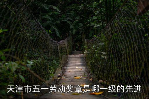 天津市級(jí)五一勞動(dòng)獎(jiǎng)待遇，天津市五一勞動(dòng)獎(jiǎng)?wù)率悄囊患?jí)的先進(jìn)