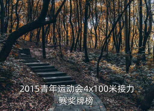 天津市第四屆青年運(yùn)動會獎牌榜，2015年全國青年運(yùn)動會的獎牌榜