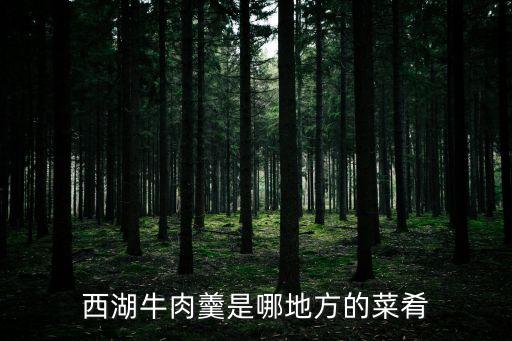 西湖牛肉羹是哪地方的菜肴
