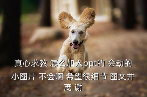 真心求教 怎么加入ppt的 會動的小圖片 不會啊 希望很細節 圖文并茂 謝