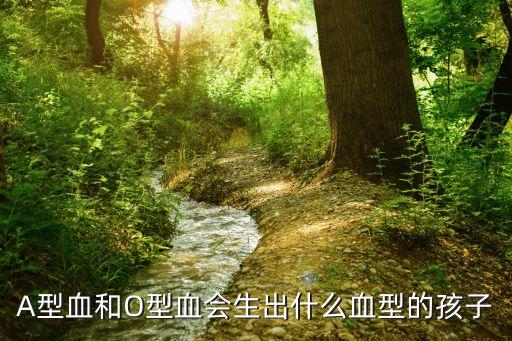 a型血和o型血生的孩子，A型血和O型血會生出什么血型的孩子