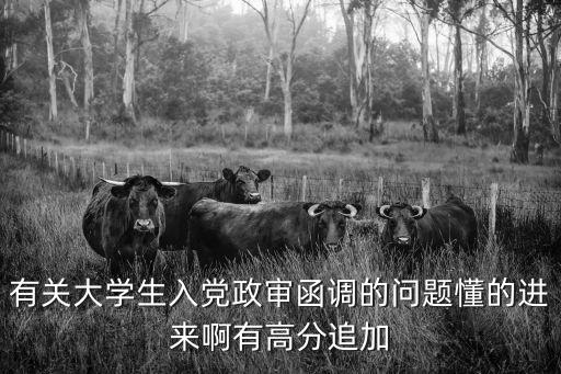 有關(guān)大學(xué)生入黨政審函調(diào)的問題懂的進(jìn)來啊有高分追加