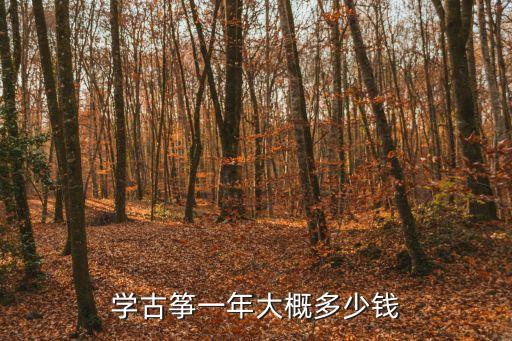 學古箏一年大概多少錢