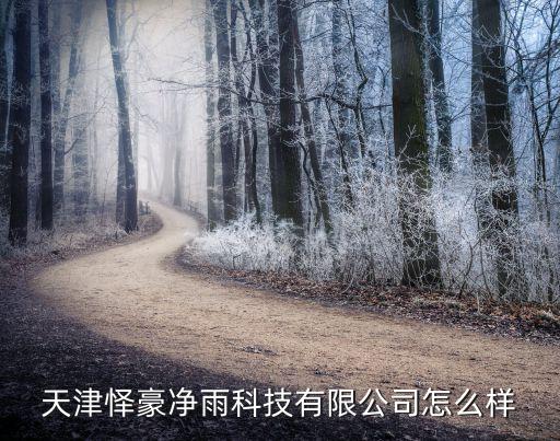 天津懌豪凈雨科技有限公司怎么樣