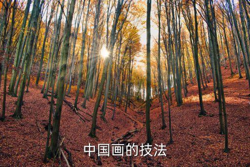 中國畫的技法