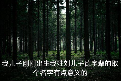 我兒子剛剛出生我姓劉兒子德字輩的取個名字有點意義的