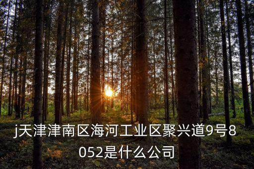 j天津津南區海河工業區聚興道9號8052是什么公司