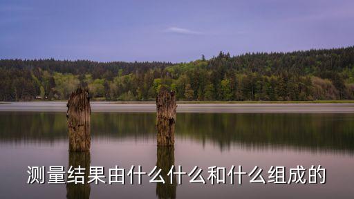 測(cè)量結(jié)果由什么什么和什么組成的