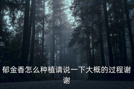 郁金香種植，郁金香的種植方法
