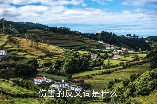 傷害的反義詞是什么