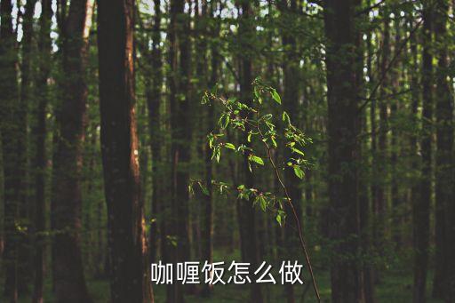 咖喱飯怎么做