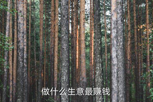 做什么生意最賺錢