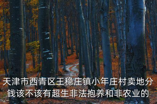 天津市西青區王穩莊鎮小年莊村賣地分錢該不該有超生非法抱養和非農業的