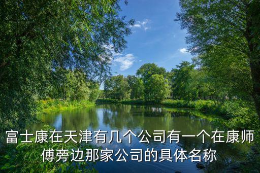 富士康在天津有幾個(gè)公司有一個(gè)在康師傅旁邊那家公司的具體名稱