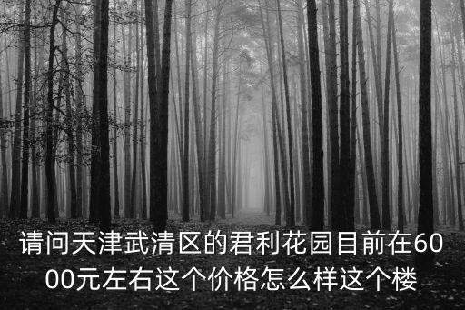 請問天津武清區的君利花園目前在6000元左右這個價格怎么樣這個樓
