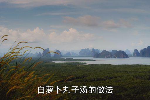 白蘿卜丸子湯的做法