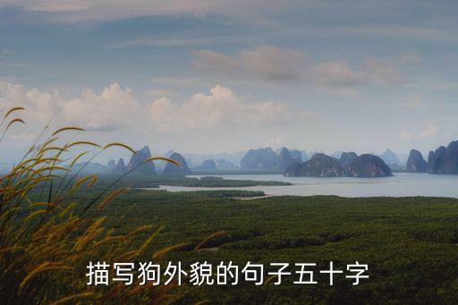描寫狗外貌的句子五十字