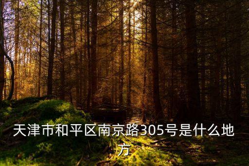 天津市和平區南京路305號是什么地方