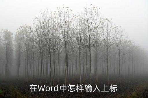 word上標(biāo)怎么打，在Word中怎樣輸入上標(biāo)