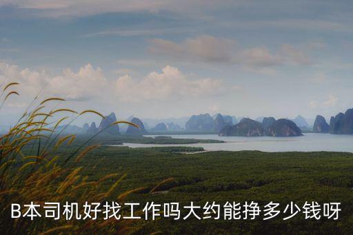天津市北辰區(qū)招B本司機(jī)，天津市北辰區(qū)招聘