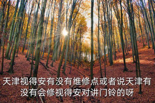天津視得安有沒有維修點或者說天津有沒有會修視得安對講門鈴的呀