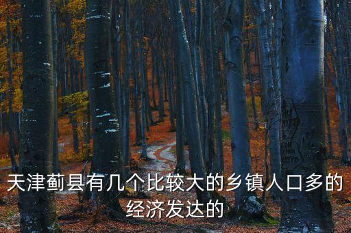 天津薊縣有幾個(gè)比較大的鄉(xiāng)鎮(zhèn)人口多的經(jīng)濟(jì)發(fā)達(dá)的