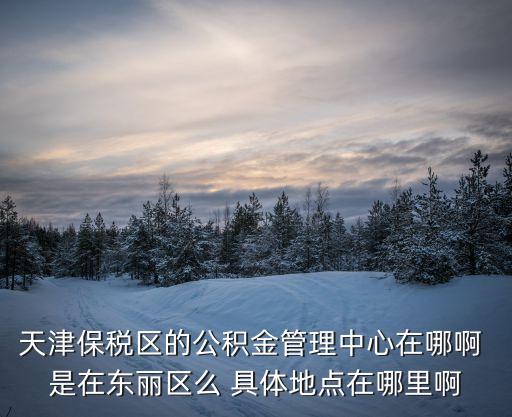 天津保稅區(qū)的公積金管理中心在哪啊 是在東麗區(qū)么 具體地點在哪里啊